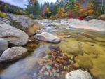 Swift_River
