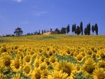Italy_075