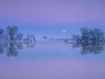 Winter_Reflection