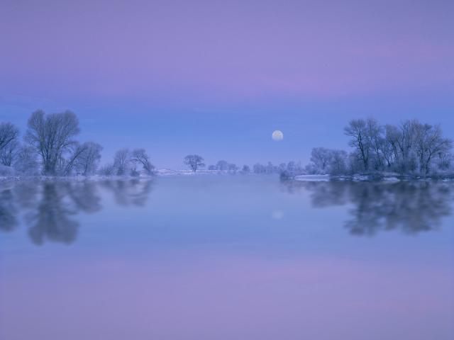 Winter_Reflection