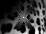 apple_009