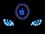apple_011