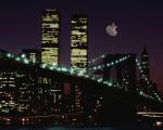 apple_028