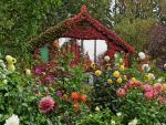 Dahlia_Walk_Butchart