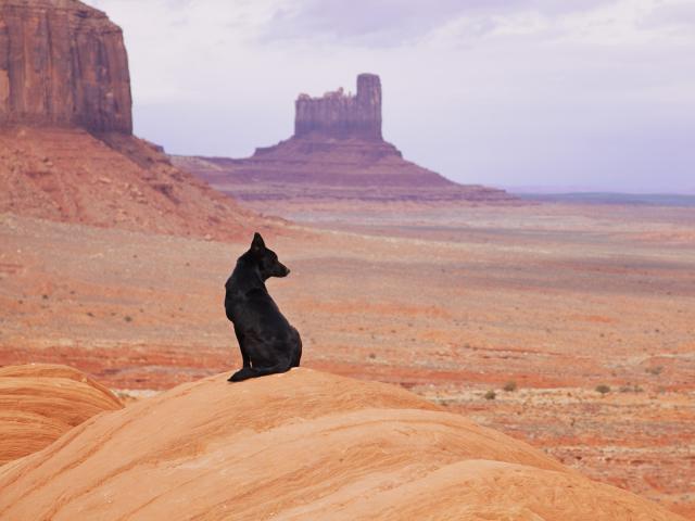 Enjoying_the_View