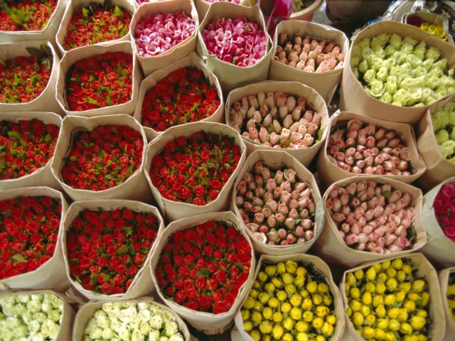 Flowers_for_Sale