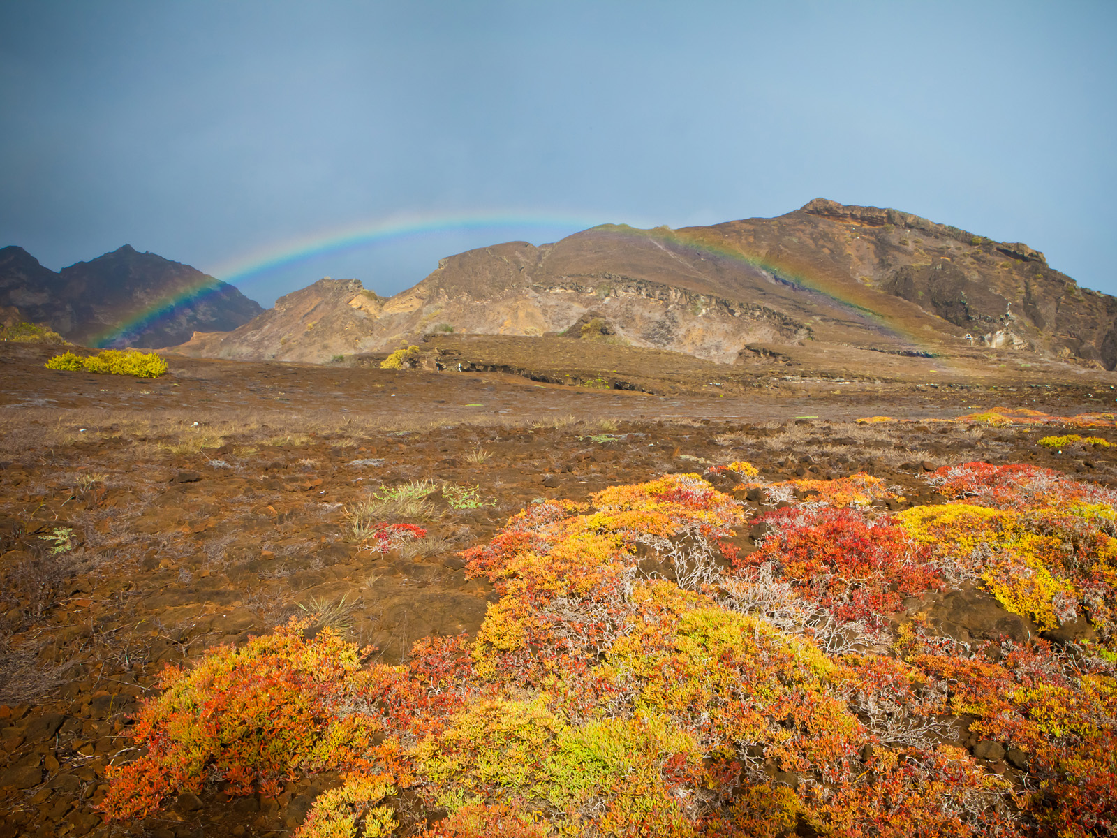 Galapagos_Islands