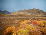 Galapagos_Islands