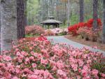 Garden_Path