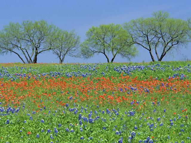 Texas_Hill_Country