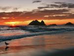 Ocean_Beach_Sunset