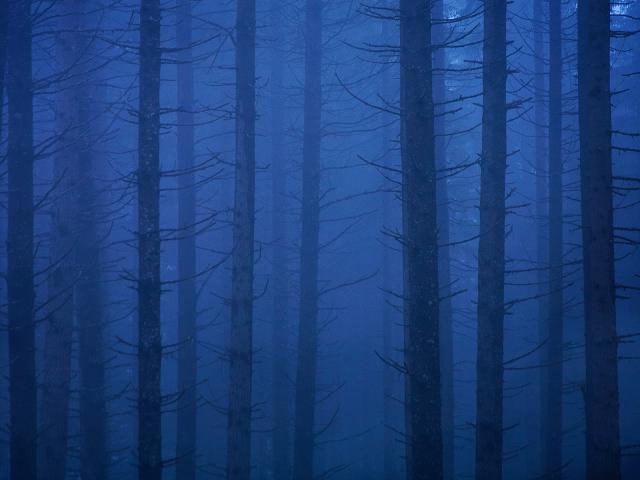 Blue_Velvet_Mount