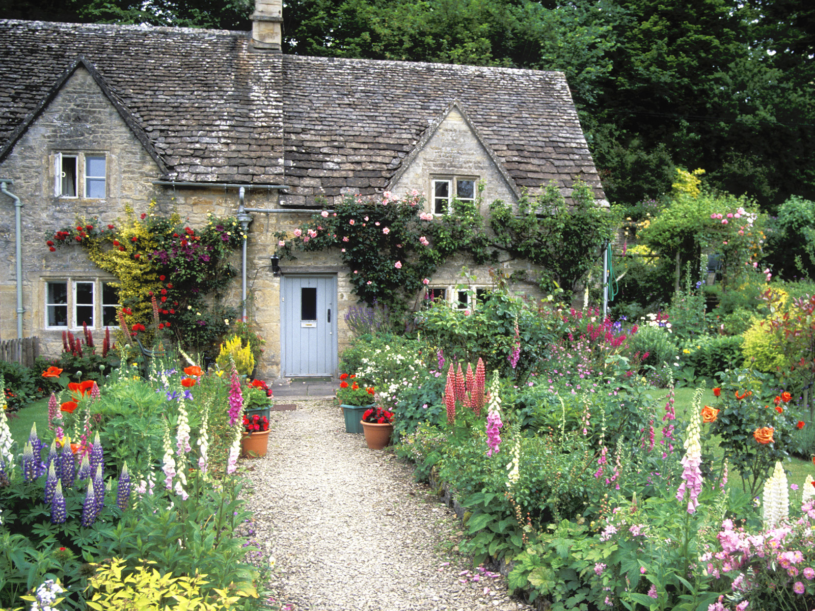 Cottage_Garden