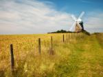 Halnaker_Windmill