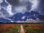 Tonquin_Valley