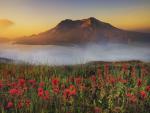 Mount_St_Helens