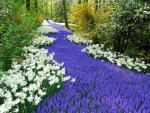 Spring_Flowers