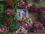 Farmhouse_Summer