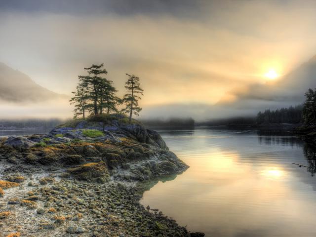Low_Tide