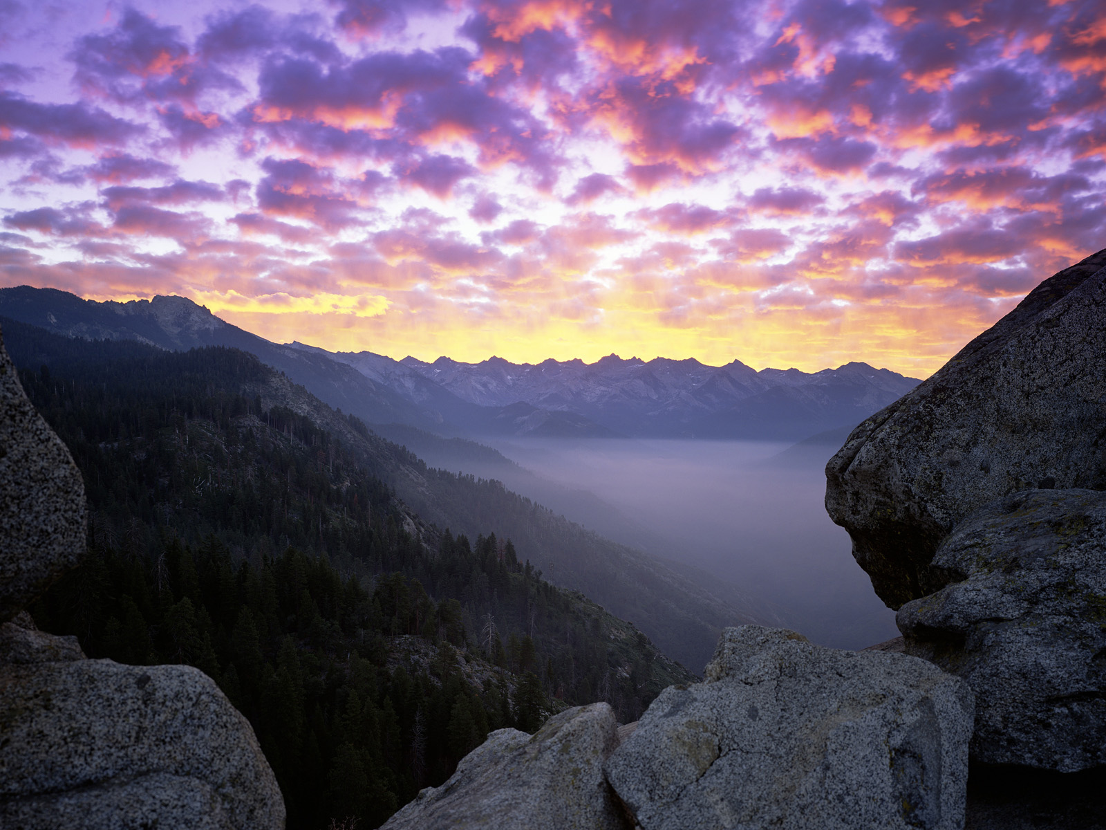 Moro_Rock_Sequoia