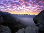 Moro_Rock_Sequoia