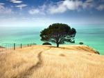Decanter_Bay_Can