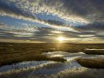 Flow_Country