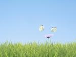 Two_Butterflies