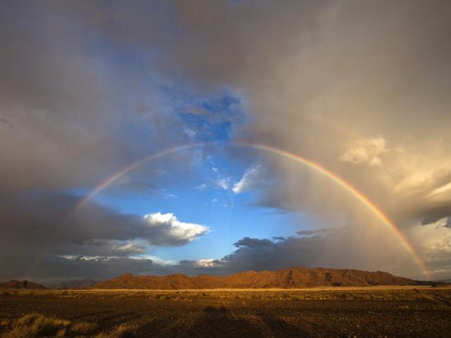 Namib-Naukluft