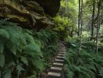 Blue_Mountains_Nat