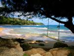 Moloaa_Beach_Kauai
