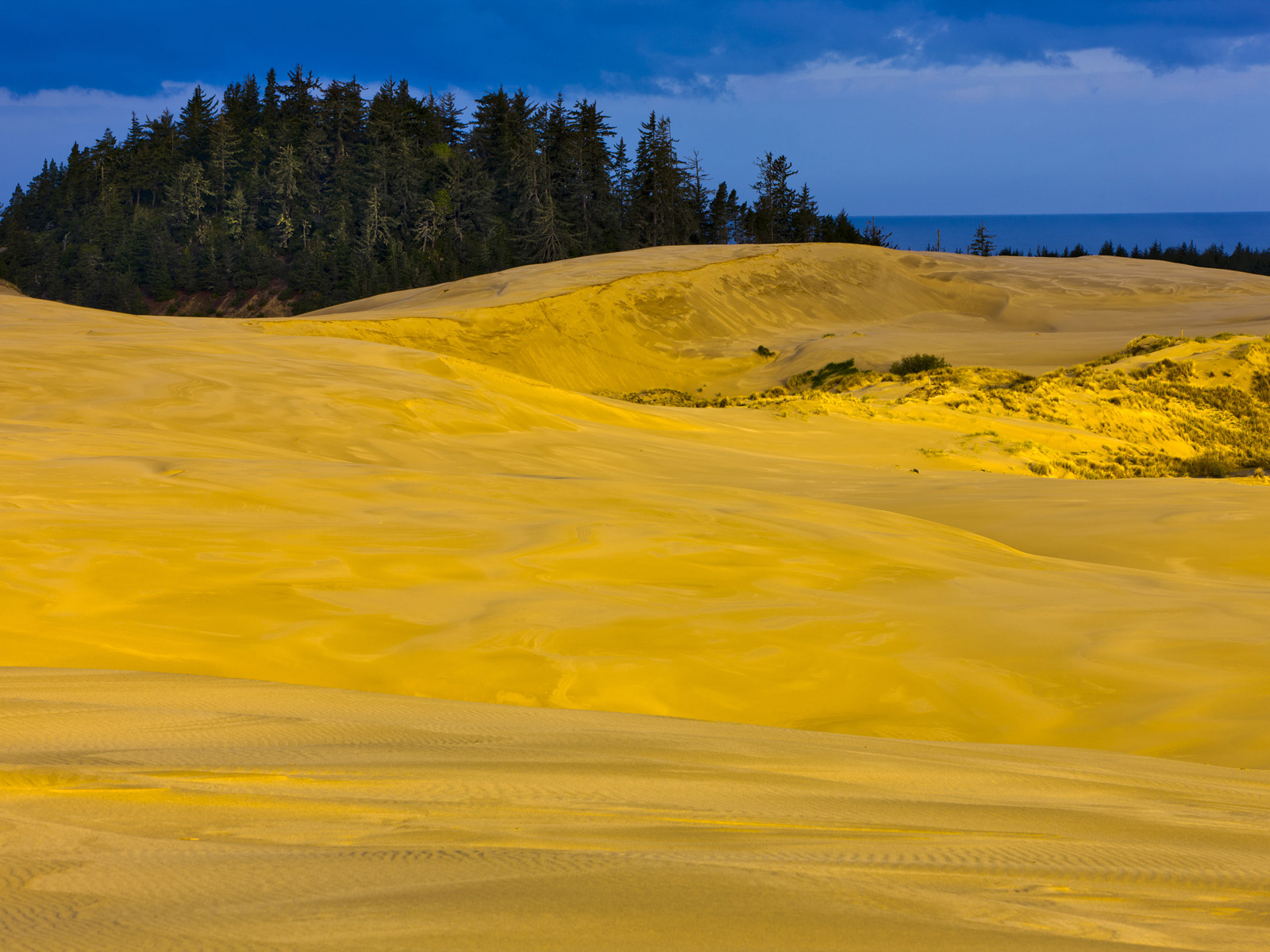 Oregon_Dunes