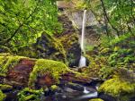 Elowah_Falls_Co