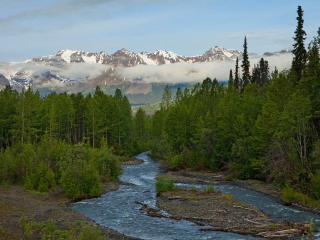 Mountain_View_Along