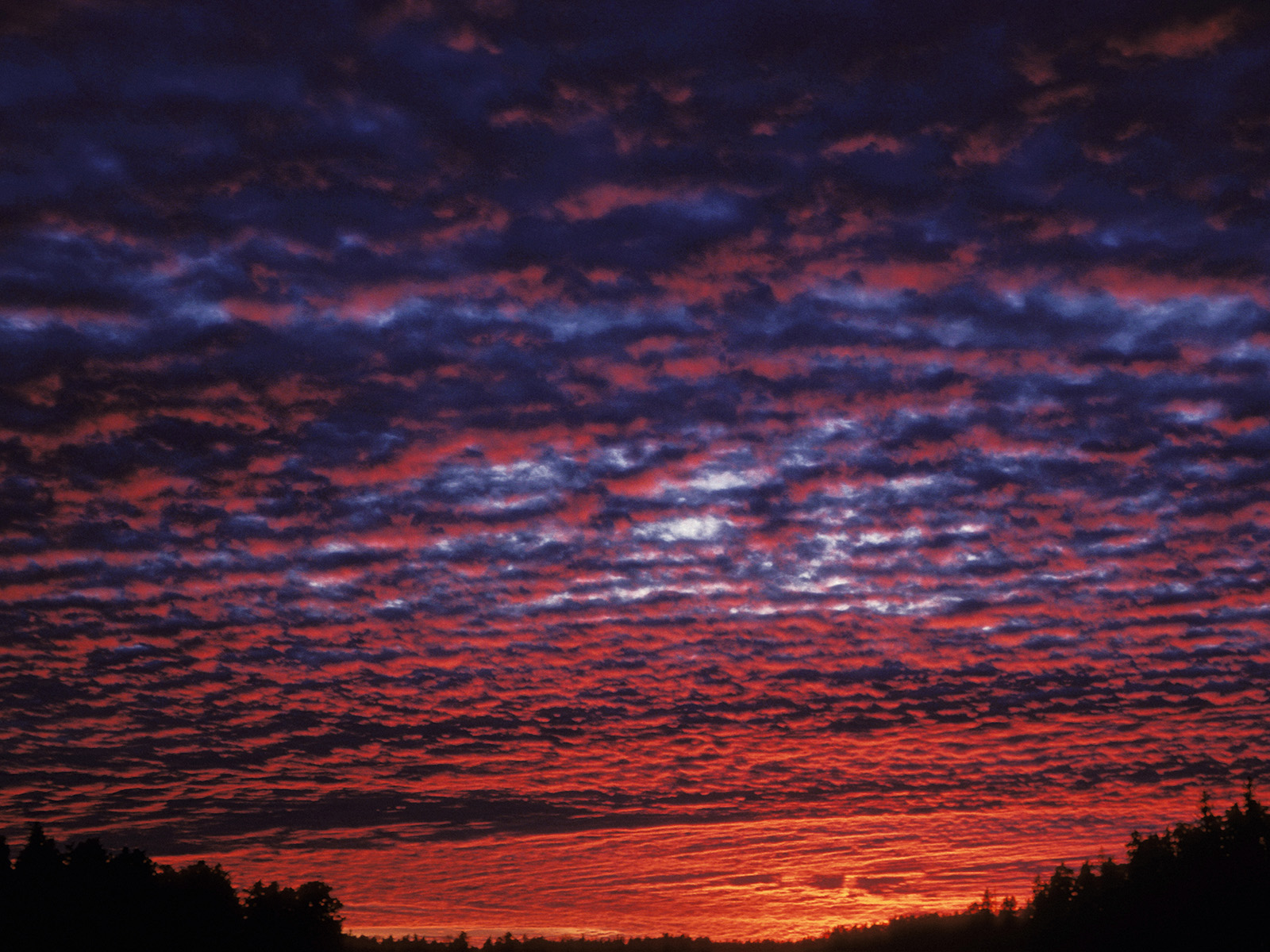 Colorful_Clouds