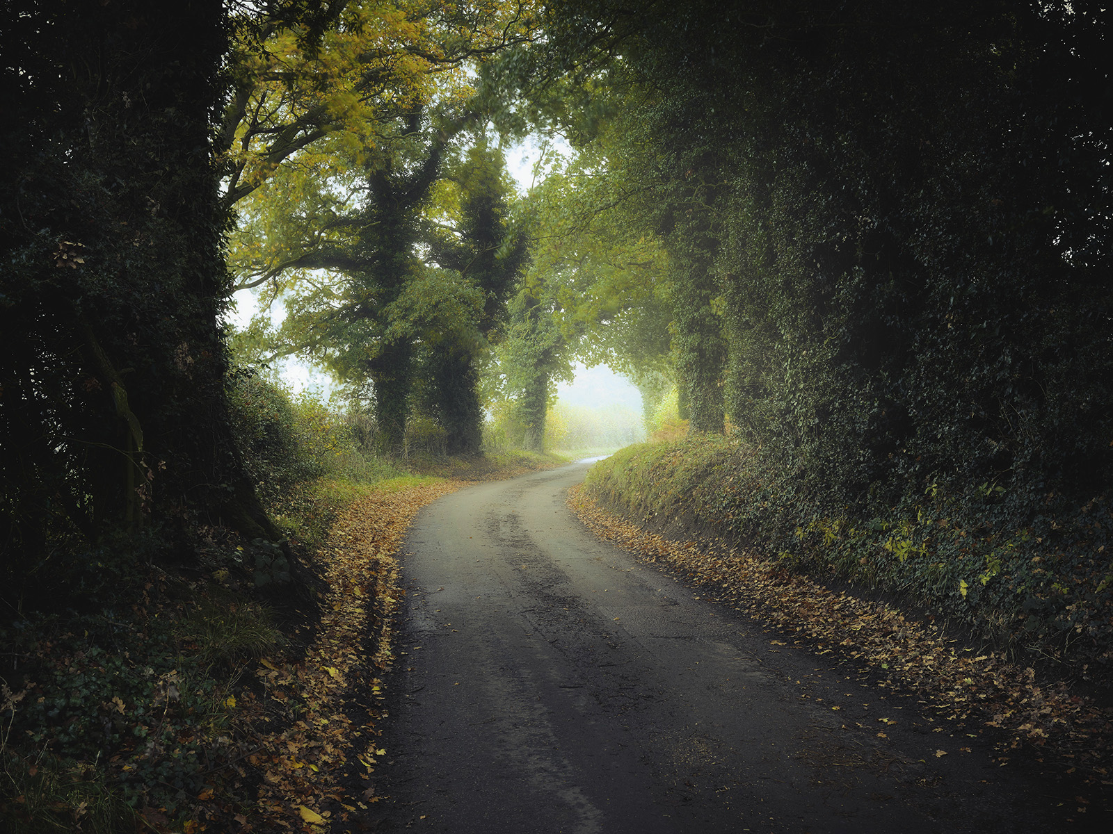 Country_Lane_in