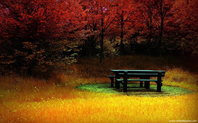 Nature_022