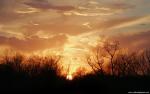 Nature_025