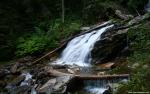 Nature_034