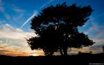 Nature_035