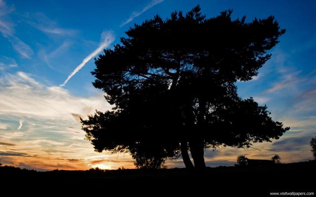 Nature_035
