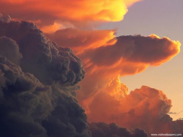 Nature_036