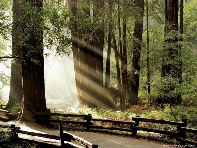 Nature_038