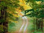 Nature_048