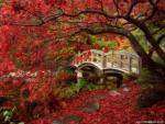 Nature_051