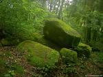 Nature_053