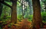 Nature_054