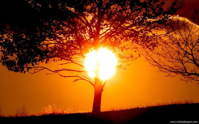 Nature_058