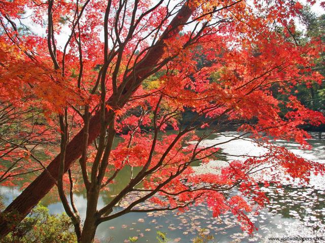 Nature_059