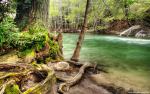 Nature_060